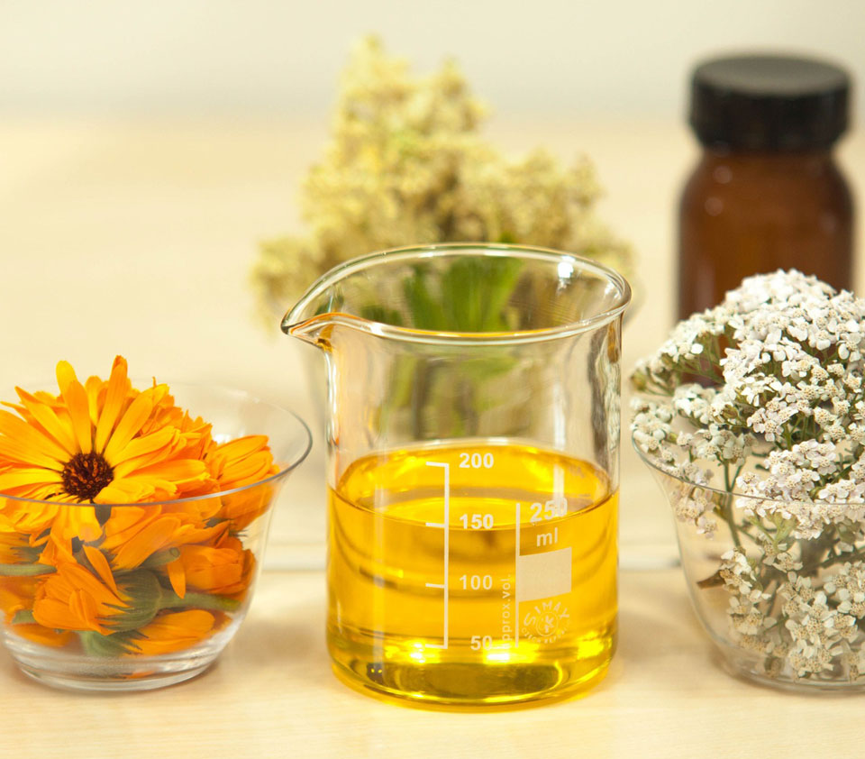 image of beaker, plants and flowers